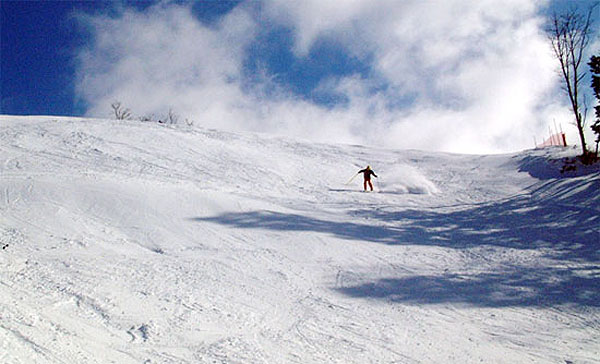 鷲ヶ岳スキー場パラダイスコース：上級