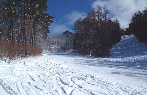 鷲ヶ岳スキー場林間コース：中級