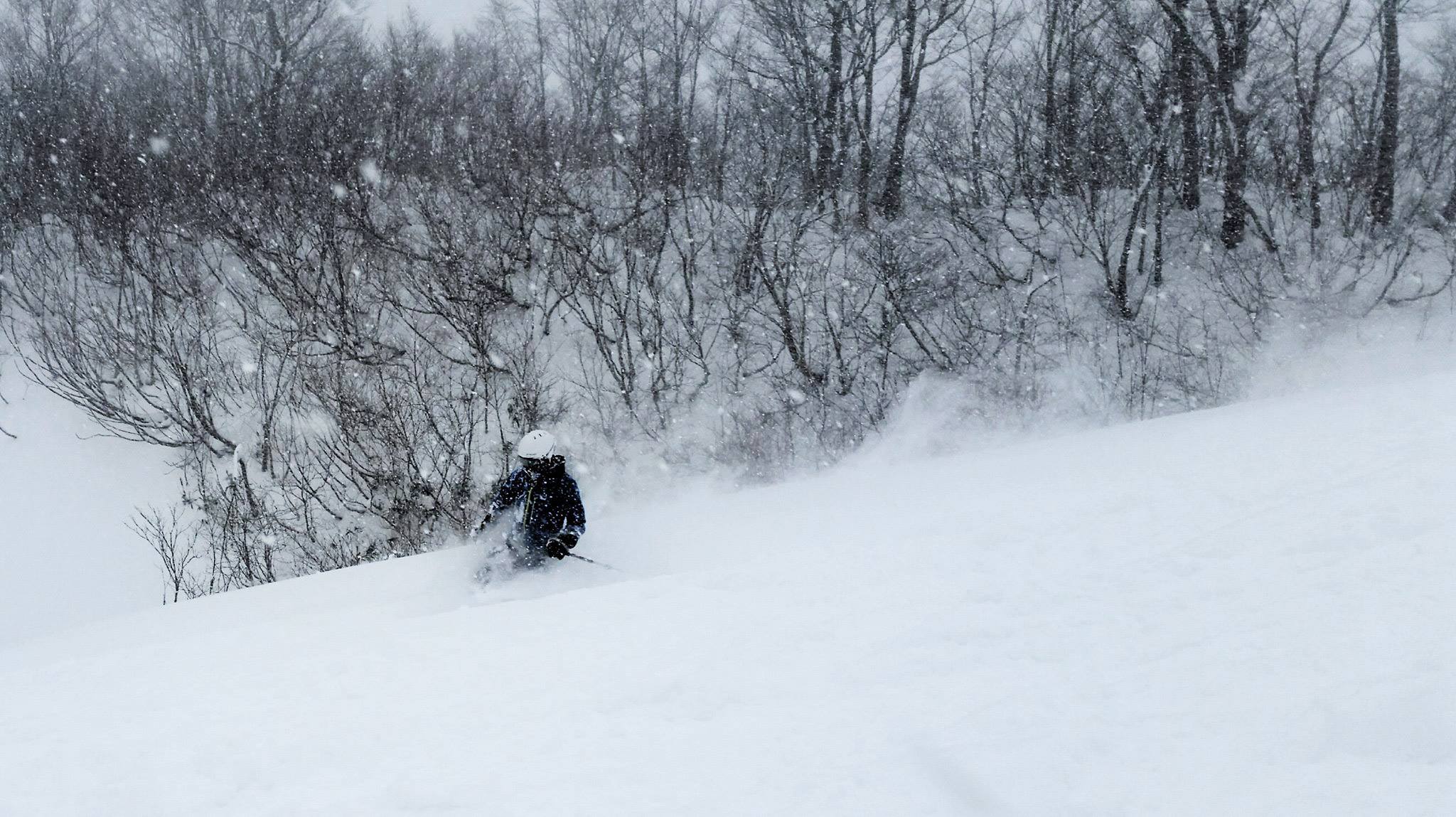 昨夜からの新雪もかなり積っています。未圧雪ゾーンも多数残されていて極上のパウダーが楽しめます♪