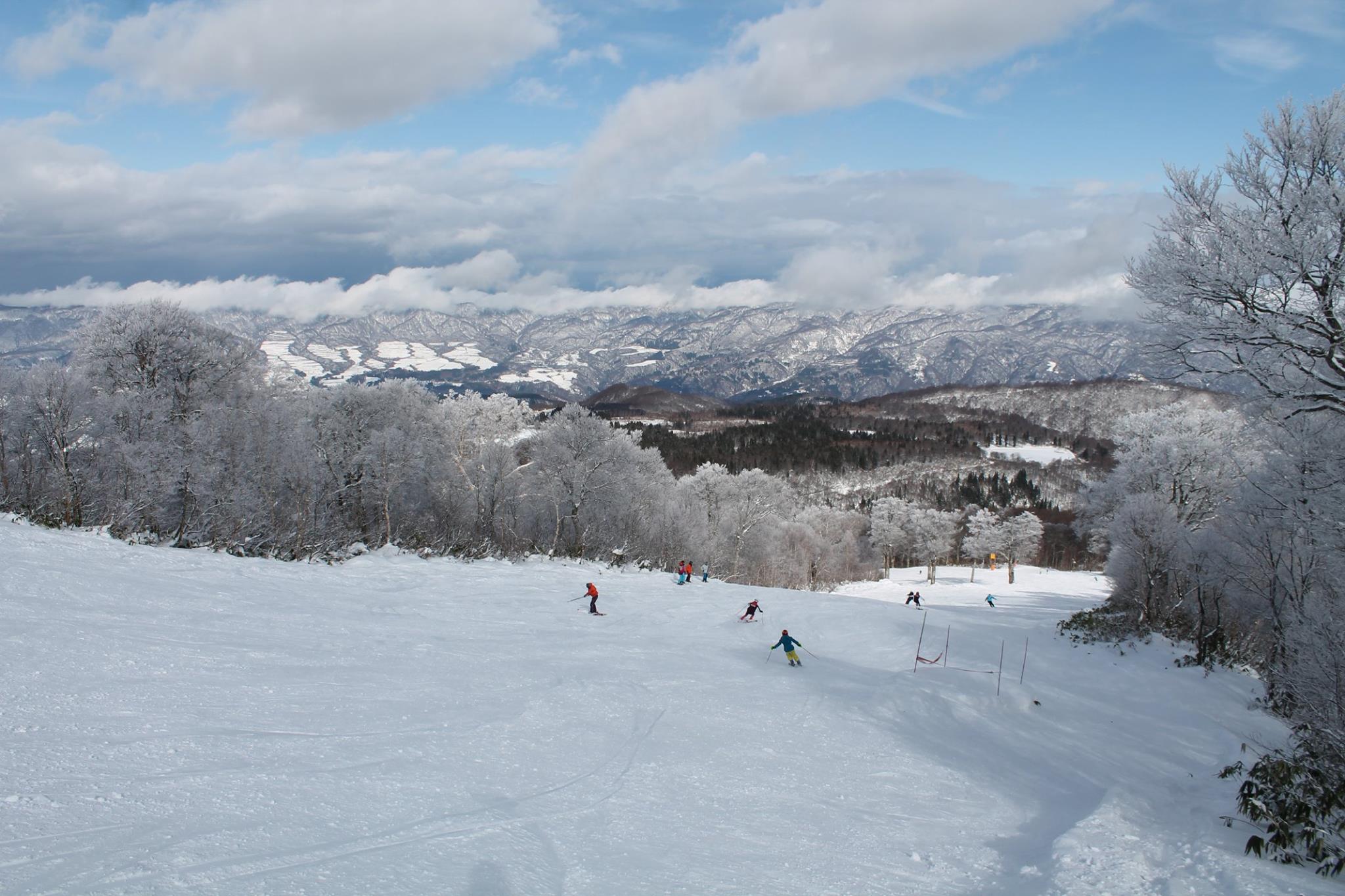 群を抜いて人気の高い野沢温泉スキー場