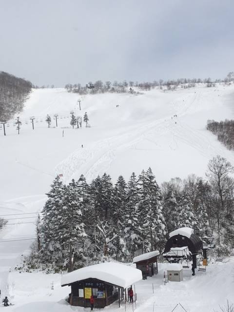 山麓まで降りれそうなほど十分な積雪があります。