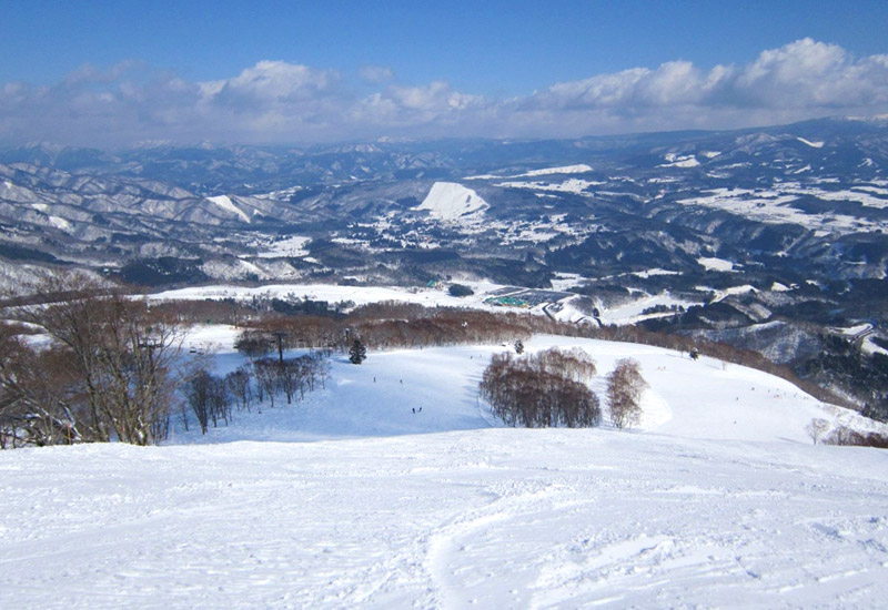 北側斜面なので積雪豊富で雪質も良い「ダイナランド」