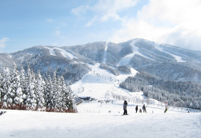 福井県勝山市にあり、西日本最大級を自負する「スキージャム勝山」