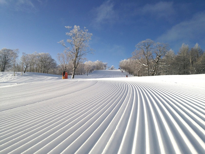 積雪量やオープンに関する情報、ゲレンデコンディションをいち早くお届け