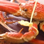 関西人はカニが大好き