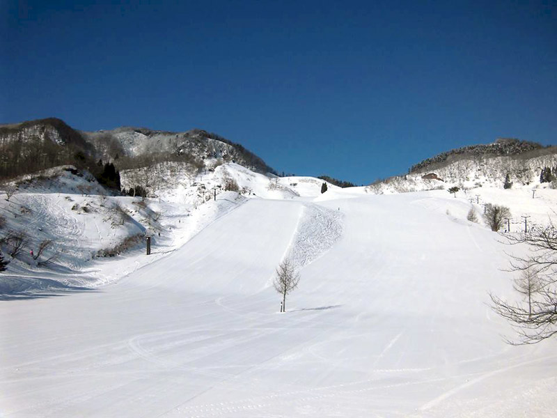 兵庫県北部、日本海にも程近いおじろスキー場・氷ノ山国際スキー場へ