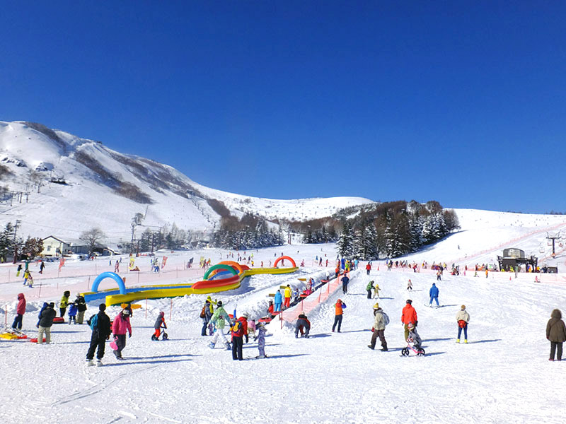 ほとんどのスキー場に子供専用、親子連れで楽しめるエリアはあります。
