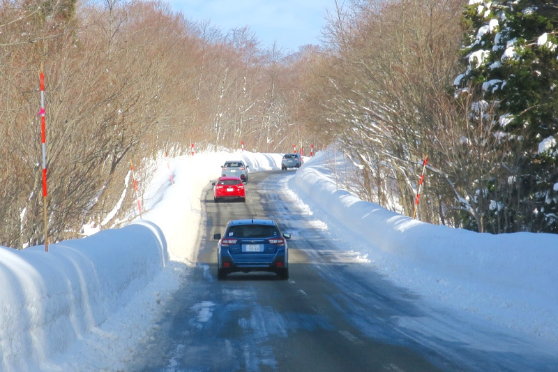 道路脇には路肩や障害物を示すスノーポールが立つ