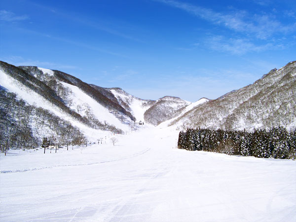 白馬コルチナスキー場