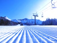 JR駅直結なのに雪は質量ともに豊富♪さすが上越♪