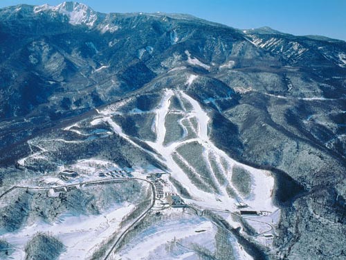 白樺湖・八ヶ岳エリアスキー場 リフト券付ホテル宿泊パック｜好きゲレ