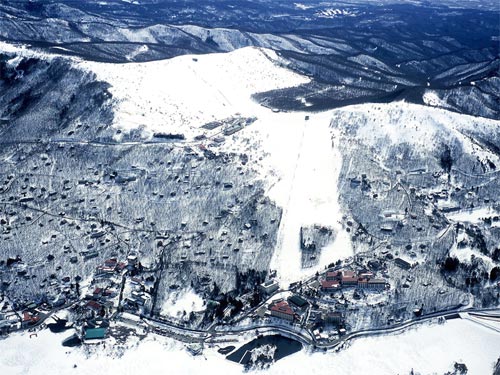 royalhill