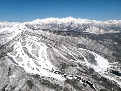 ひるがのエリア又は西洞エリア民宿・旅館