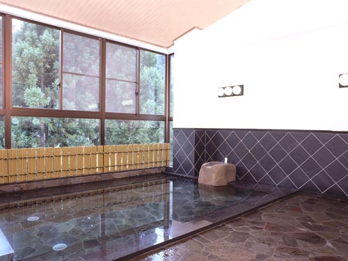 ホテルフレアール和泉 福井和泉スキー場リフト券付宿泊バスツアー 好きゲレ