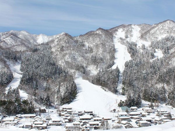 村上市ぶどうスキー場
