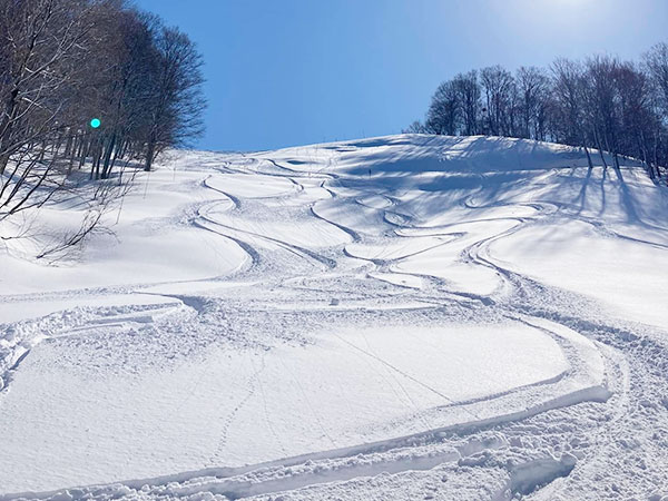 松之山温泉スノーパーク