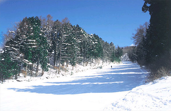 鷲ヶ岳スキー場尾根コース