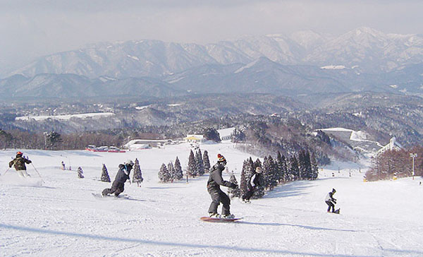鷲ヶ岳スキー場パラレルコース：上級・初級