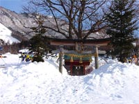 ゲレンデの中にある「小丸山スキー神社」恋が叶うとウワサw