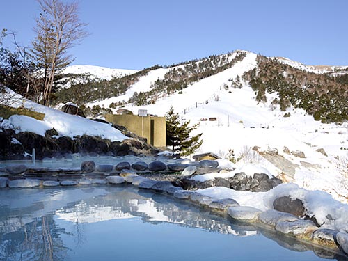800mの上質な雪と上品な白濁の湯「星空に一番近い温泉」♪