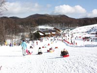 スノーエスカレーターがあるから雪遊びも楽しい♪