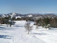 菅平は標高が高いから雪質はサイコ～（ダボスからパインビーク遠望）