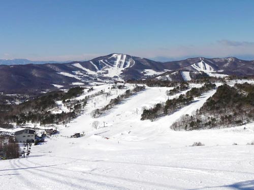 パインビークエリアだけだとリフト6本・26コース