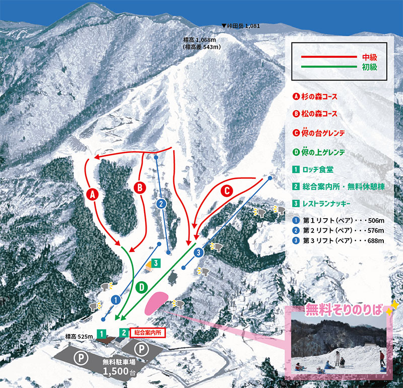 みやぎ蔵王七ヶ宿スキー場ゲレンデ・コースマップ