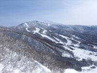 単独スキー場としては面積日本一。なので全体像はありません～