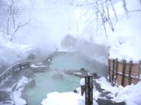 蔵王温泉は雰囲気ある濁り湯の名湯♪（大露天風呂は冬季閉鎖）